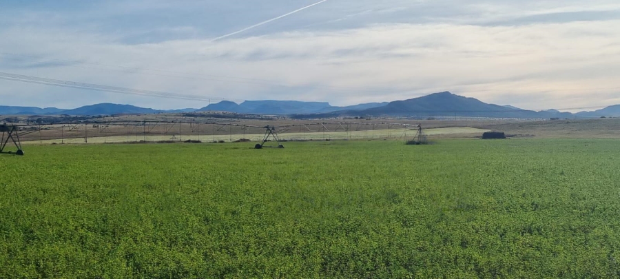 4 Bedroom Property for Sale in Queenstown Rural Eastern Cape